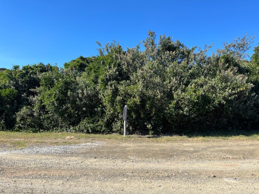 0 Bedroom Property for Sale in Mgwalana Eastern Cape